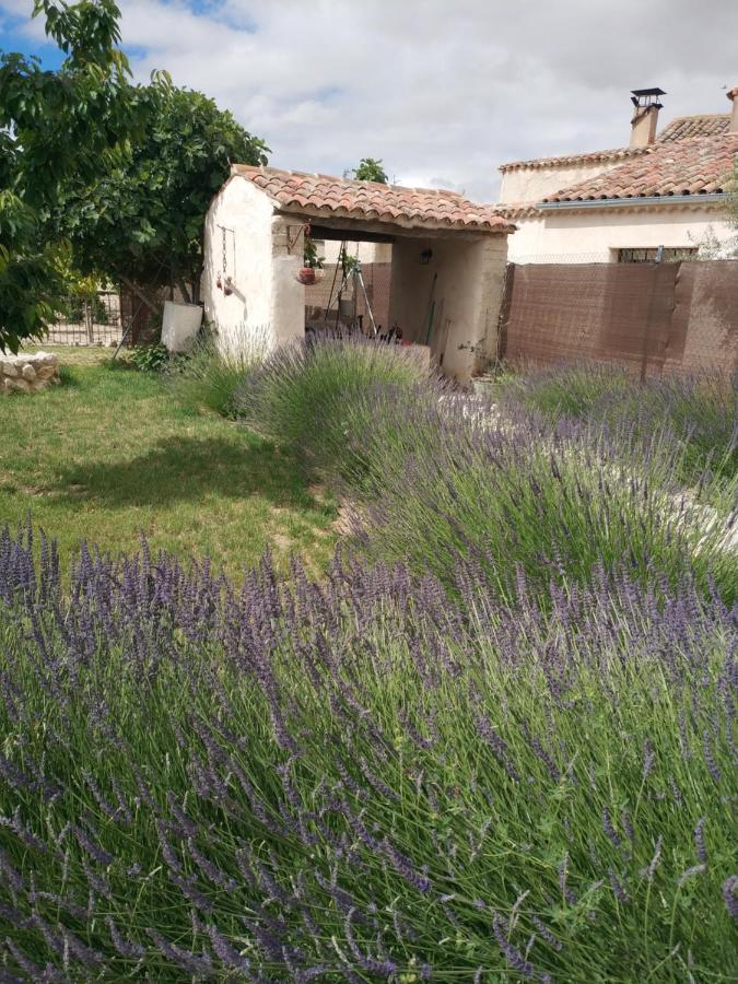 בית הארחה Tiedra 	Casa Rural Alamar II מראה חיצוני תמונה